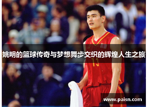 姚明的篮球传奇与梦想舞步交织的辉煌人生之旅